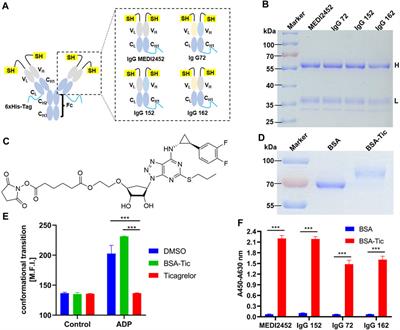 Fluorescence quenching-based immunological probe for ticagrelor monitoring